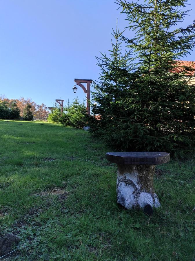 Vila Hajdi Planina Tara Баина Баща Екстериор снимка