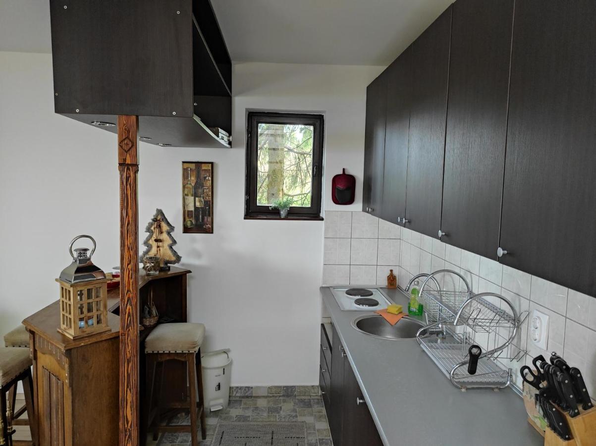 Vila Hajdi Planina Tara Баина Баща Екстериор снимка